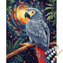 Arnlrdya grey parrot for sale  Delivered anywhere in USA 