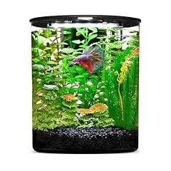 Imagitarium plastic cylinder for sale  Delivered anywhere in USA 