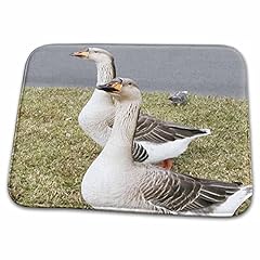 Dish drying mat for sale  Delivered anywhere in USA 