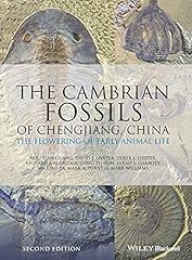 Cambrian fossils chengjiang for sale  Delivered anywhere in UK