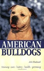 American bulldogs for sale  Delivered anywhere in USA 