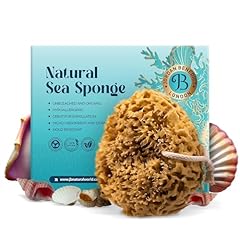 Jordan benedict natural for sale  Delivered anywhere in UK