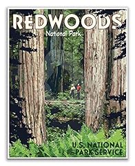 Redwoods national park for sale  Delivered anywhere in USA 