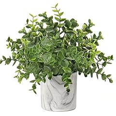 Hollyone faux plants for sale  Delivered anywhere in USA 