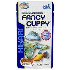 Hikari fancy guppy for sale  Delivered anywhere in USA 