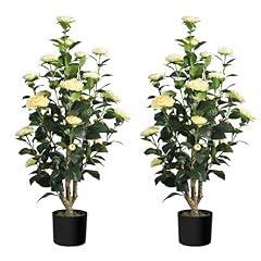 Romantic season 2pack for sale  Delivered anywhere in USA 
