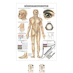 Rüdiger körperakupunktur leh gebraucht kaufen  Wird an jeden Ort in Deutschland