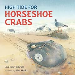 High tide horseshoe for sale  Delivered anywhere in USA 