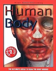 Human body poster for sale  Delivered anywhere in USA 