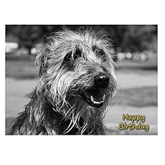 Lurcher birthday card for sale  Delivered anywhere in UK