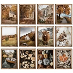 Jarthenaamcs 12pcs thanksgivin for sale  Delivered anywhere in USA 