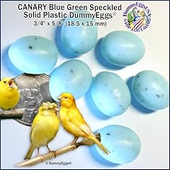 Dummyeggs canary dummy for sale  Delivered anywhere in UK