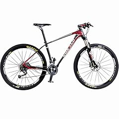Costelo mountain bike usato  Spedito ovunque in Italia 