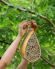 Sunvara mason bee for sale  Delivered anywhere in USA 