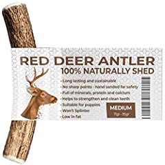 Antlers dogs medium for sale  Delivered anywhere in UK