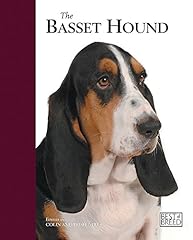 The basset hound d'occasion  Livré partout en Belgiqu