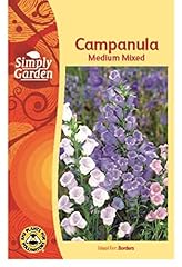 Simply garden campanula for sale  Delivered anywhere in Ireland