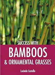 Success bamboos ornamental for sale  Delivered anywhere in UK