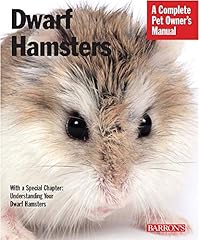 Dwarf hamsters for sale  Delivered anywhere in USA 