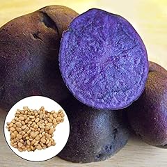 100 semi patate usato  Spedito ovunque in Italia 