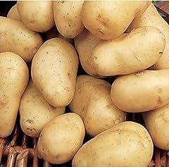 Seed potatos ulster for sale  Delivered anywhere in UK