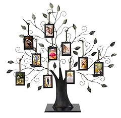 Maypes family tree for sale  Delivered anywhere in USA 