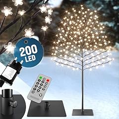 Monzana albero ciliegio usato  Spedito ovunque in Italia 