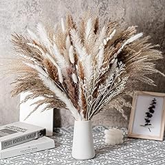 Stems real pampas for sale  Delivered anywhere in USA 
