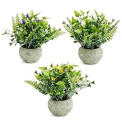 Alpsuiay mini plant for sale  Delivered anywhere in USA 