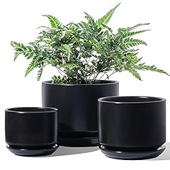 Tauci ceramic plant for sale  Delivered anywhere in USA 