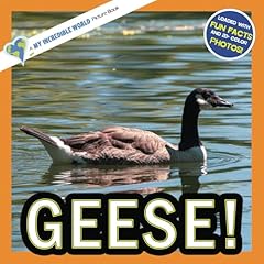 Geese incredible picture for sale  Delivered anywhere in USA 