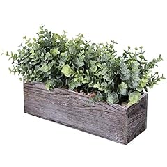 Faux eucalyptus plants for sale  Delivered anywhere in USA 