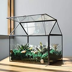 Large glass plant for sale  Delivered anywhere in USA 