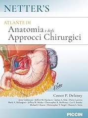 Netter atlante anatomia usato  Spedito ovunque in Italia 