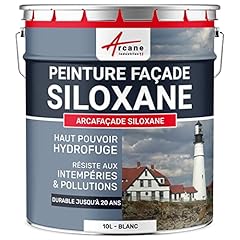 Peinture facade siloxane d'occasion  Livré partout en Belgiqu