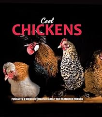 Cool chickens for sale  Delivered anywhere in USA 