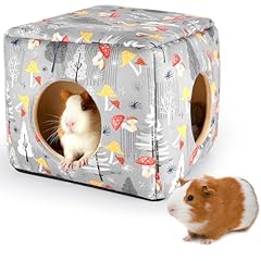 Hedgeink guinea pig for sale  Delivered anywhere in UK