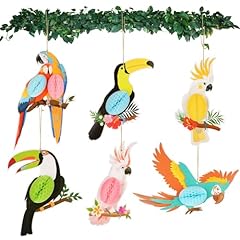 Stück tropische vögel gebraucht kaufen  Wird an jeden Ort in Deutschland