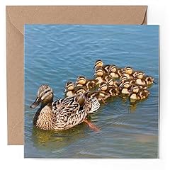 Greeting card mallard for sale  Delivered anywhere in UK