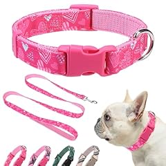 Dillybud small dog for sale  Delivered anywhere in USA 