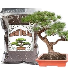 Bonsai erde mischung gebraucht kaufen  Wird an jeden Ort in Deutschland