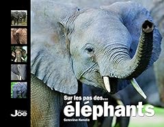 éléphants d'occasion  Livré partout en Belgiqu