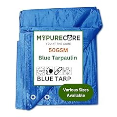 Mypurecore large blue for sale  Delivered anywhere in UK