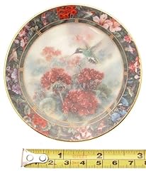 White eared hummingbird for sale  Delivered anywhere in USA 