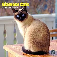 Siamese cats calendar for sale  Delivered anywhere in Ireland