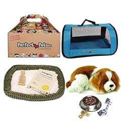 Perfect petzzz cavalier usato  Spedito ovunque in Italia 