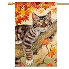 Blkwht fall cat for sale  Delivered anywhere in USA 