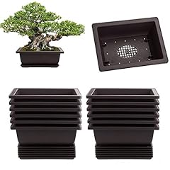 Laniakea pack bonsai for sale  Delivered anywhere in USA 