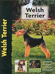 Welsh terrier for sale  Delivered anywhere in UK