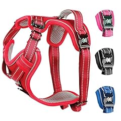 Elite paws premium for sale  Delivered anywhere in UK